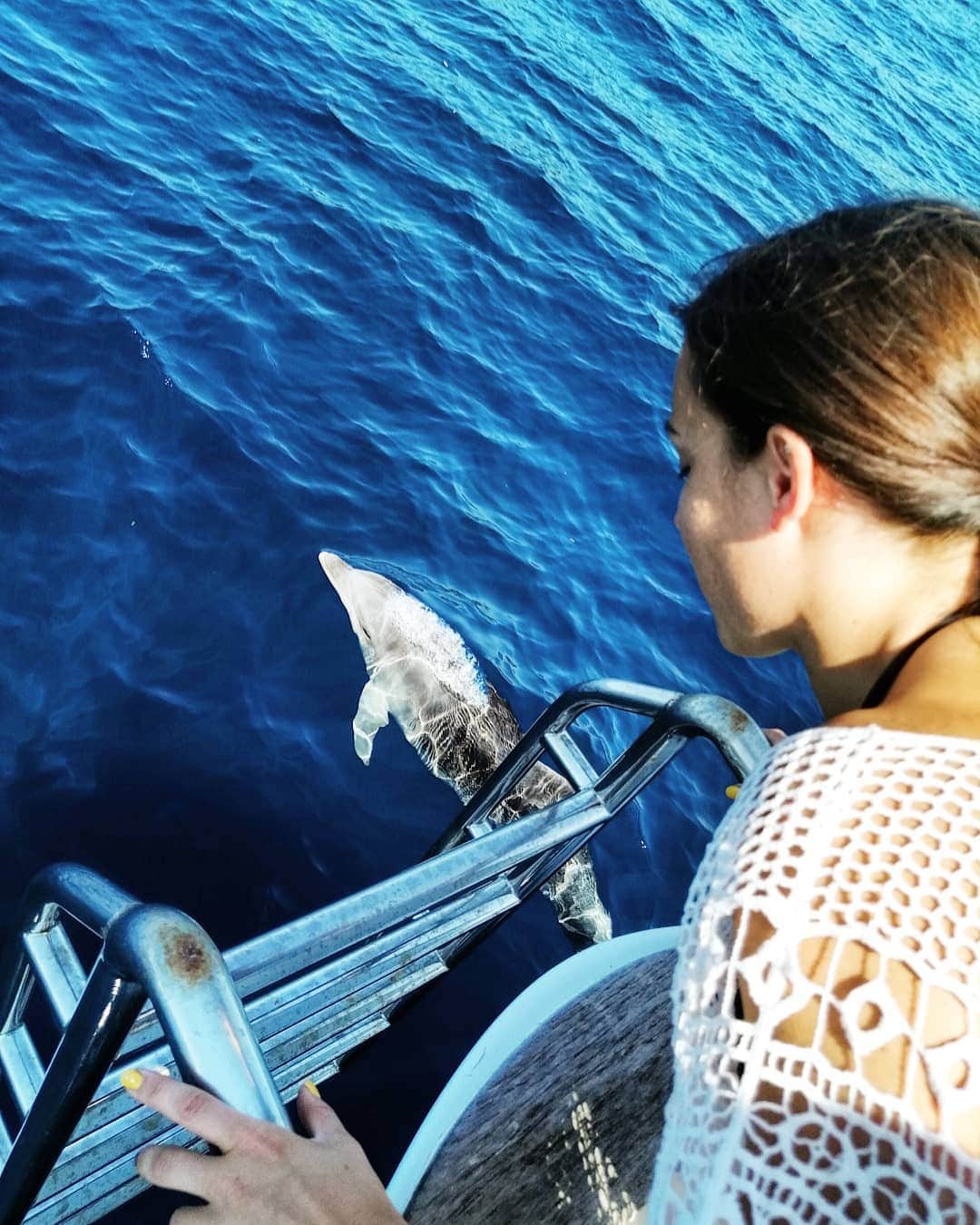 バネッサ・フェラーリのインスタグラム：「Abbiamo compagnia... ⚓🐬 😍😍😍😍😍😍😍😍😍😍 📷🔜🎥 #alghero #sardinia #boat #yachtlife #ajo #sardegna #vanessaferrari #italy #summer」