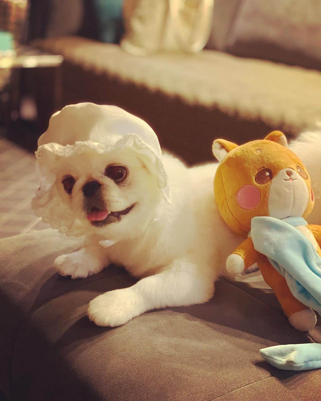 カン・イェウォンのインスタグラム：「줄리와집순이☔️🙏💙」