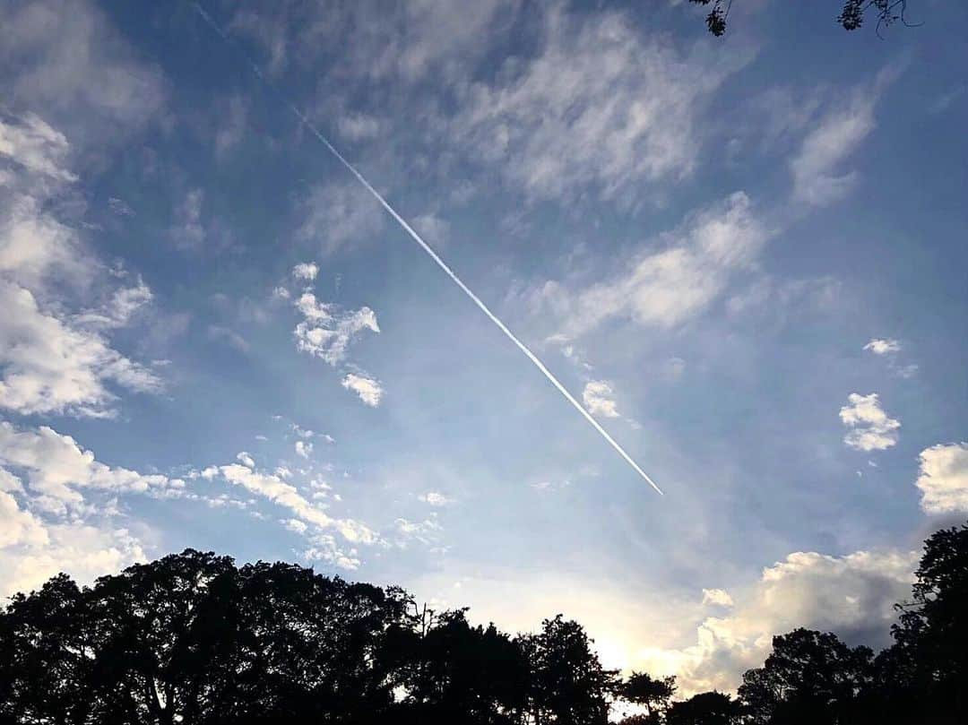 湯浅なるせのインスタグラム：「飛行機雲☁️雲史上イチバンすき」