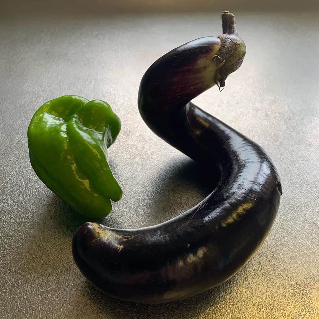のインスタグラム：「うねりが美しい茄子...🐍✨ ・ ・ ・ #夏野菜　#茄子　#ピーマン #有機野菜」