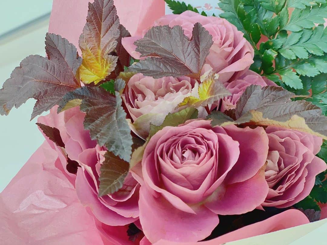 山本萩子さんのインスタグラム写真 - (山本萩子Instagram)「先日頂いた花束。 ヤツ🐈に食べられないよう、高いところに飾っています！笑」8月9日 21時01分 - shuko.yamamoto