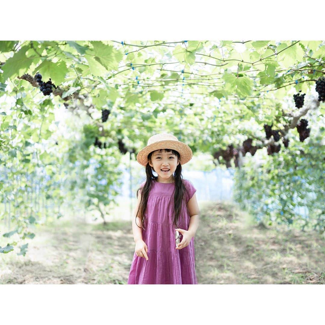 Kyooonさんのインスタグラム写真 - (KyooonInstagram)「夏の思い出﻿ ﻿ OLか！ってくらい毎朝たっぷりフルーツを食べる長女と、まーったくフルーツを食べない次女によるぶどう狩り🍇🍇﻿ ﻿ 美味しかった〜﻿ ﻿ 次女は今日もアゴ負傷🩹﻿ おてんばちゃん😂💕﻿ #ぶどう狩り#姉妹#4歳差姉妹#6歳#6歳3ヶ月#2歳#2歳1ヶ月#姉妹ママ#カメラ練習中#sonya7iii」8月9日 21時11分 - fancykyon