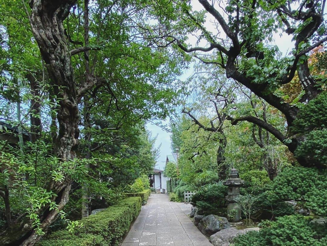 雅-MIYAVI-さんのインスタグラム写真 - (雅-MIYAVI-Instagram)「Summer Zen Experience! Visited a temple for weekend mediation. It’s all about breath and flow. And it’s been always in us. So grateful 🙏🏻 禅体験をしに龍雲寺さんへ。キッズたちにとってもはじめての座禅や写経、茶道など、丁寧に手ほどきをしていただきました。禅って、奥が深いと同時に、すごくシンプル。いろいろな学びと気づきをありがとうございました🙌🏻🙌🏻😃💯」8月10日 7時35分 - miyavi_ishihara