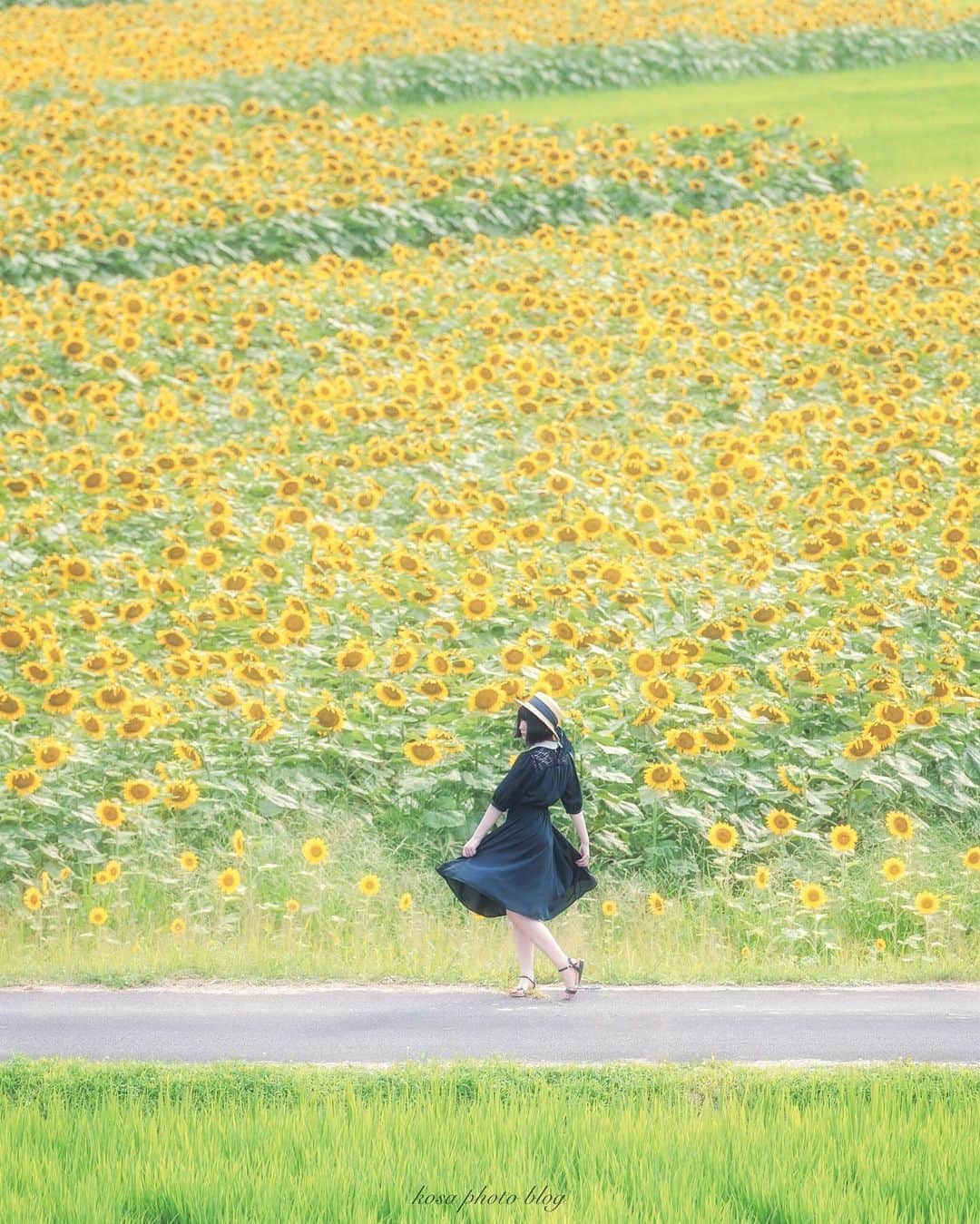 コサのインスタグラム