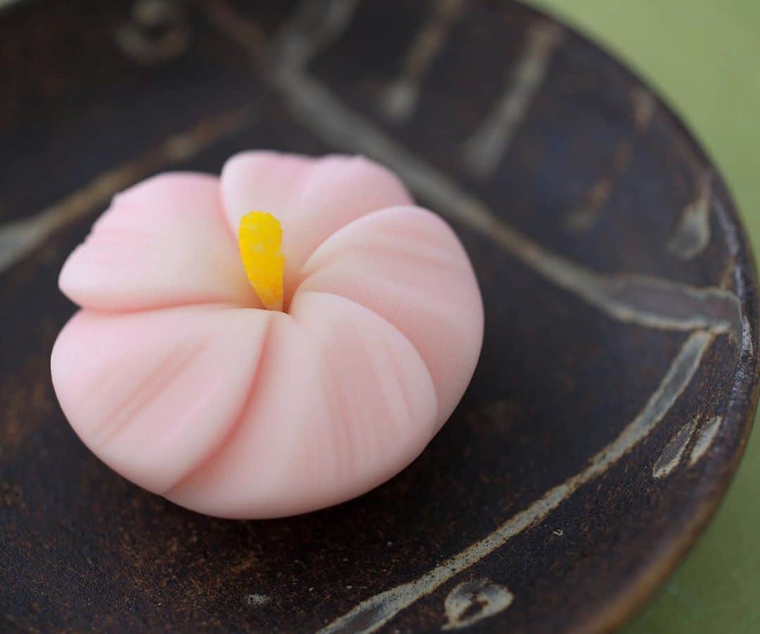 Toru Tsuchieのグルメインスタ