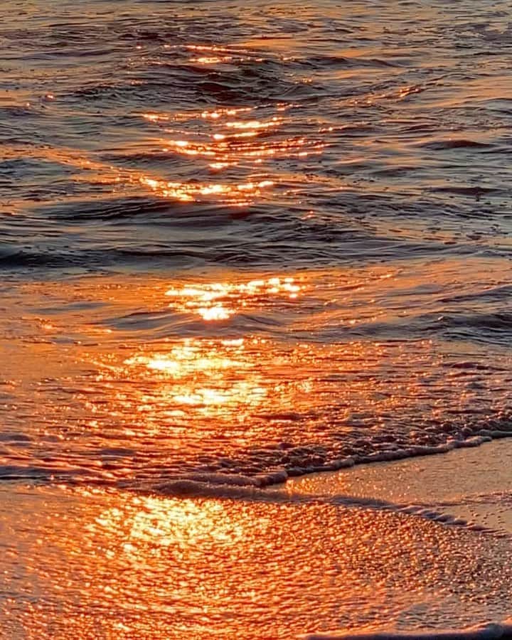 フェリシティー・パルマティアーのインスタグラム：「7 weeks without phone reception / social media is exactly what I needed. Coming away happier, healthier and with fresh perspectives. Very grateful. This video is a great representation of how my brain feels 😌  Thanks @kiarasashaa for being me for 7 weeks 😂 love you 💗」