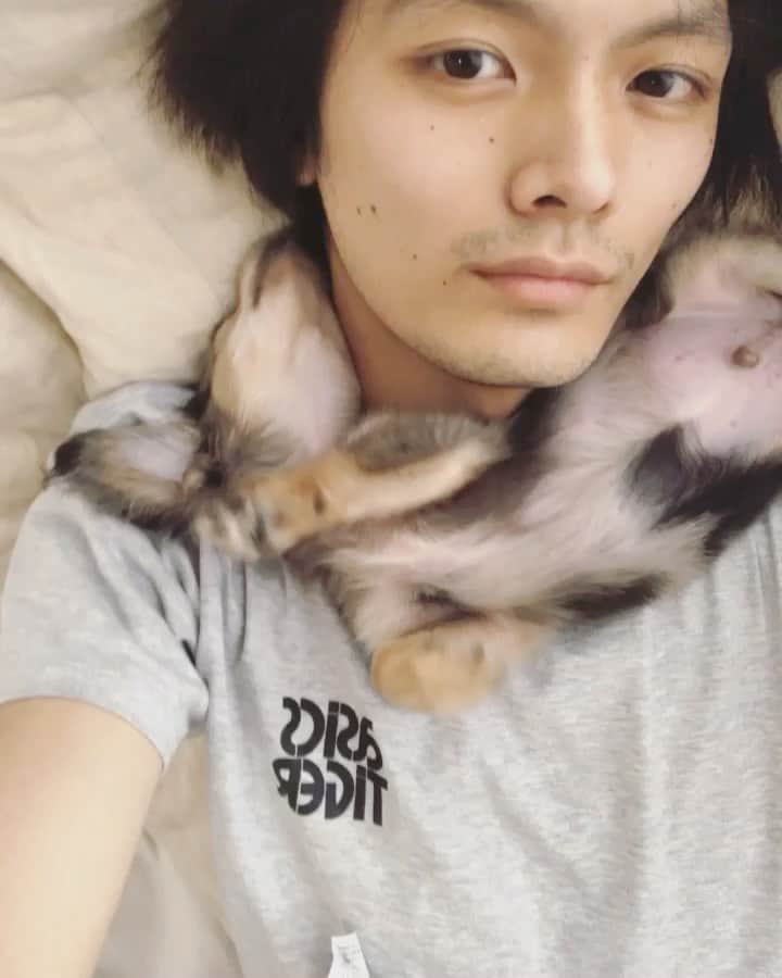 長坂 睦生のインスタグラム：「なんでここなん？笑 #チワックス #ミックス犬 #いぬすたぐらむ #犬のいる暮らし」