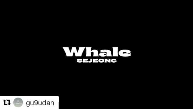 のインスタグラム：「#Repost @gu9udan with @get_repost ・・・ . SEJEONG Digital Single [Whale] . 2020. 8. 17 6PM (KST) Coming Soon . #세정 #SEJEONG #Whale #20200817_6PM」