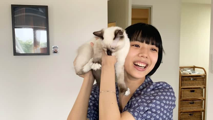 カネコアヤノさんのインスタグラム写真 - (カネコアヤノInstagram)「猫に媚び売る人生」8月9日 23時54分 - kanekoayanodayo