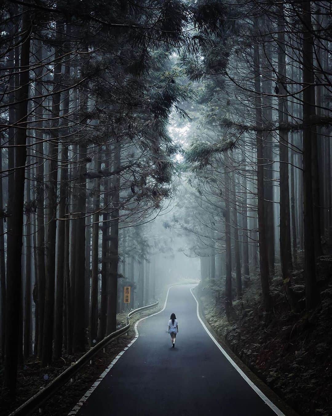 Canon Photographyさんのインスタグラム写真 - (Canon PhotographyInstagram)「Moody and mystical forests in Japan.  Photography // @rick__tk Curated by @steffeneisenacher  #japan #moody #forest #tree_captures #tree_magic #foggy」8月10日 0時41分 - cpcollectives