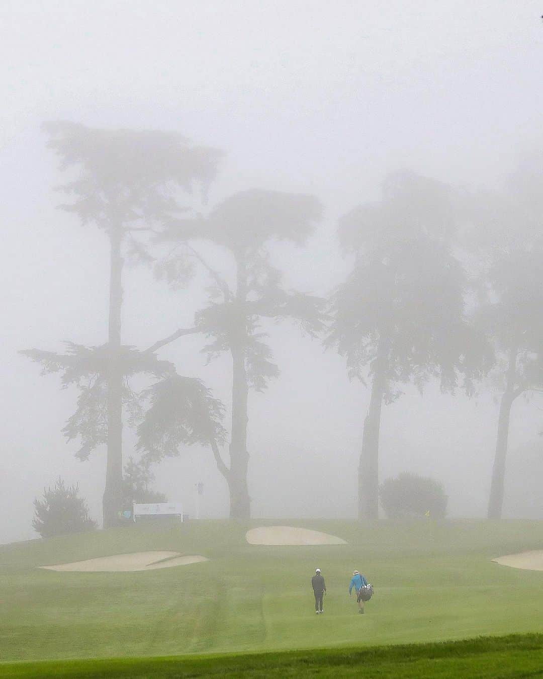 PGA TOURさんのインスタグラム写真 - (PGA TOURInstagram)「Fogust conditions @TPCHardingPark.」8月10日 1時04分 - pgatour