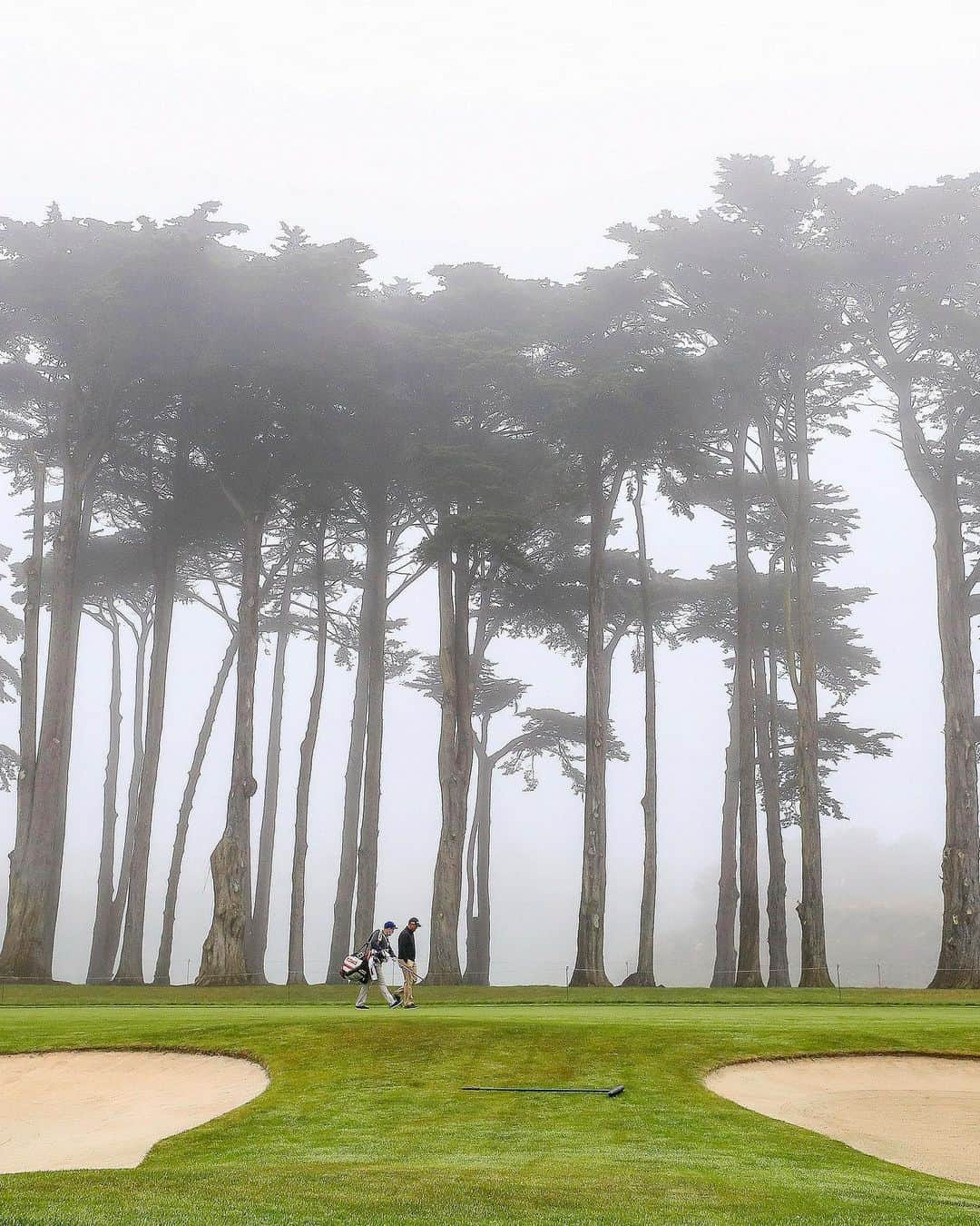 PGA TOURさんのインスタグラム写真 - (PGA TOURInstagram)「Fogust conditions @TPCHardingPark.」8月10日 1時04分 - pgatour