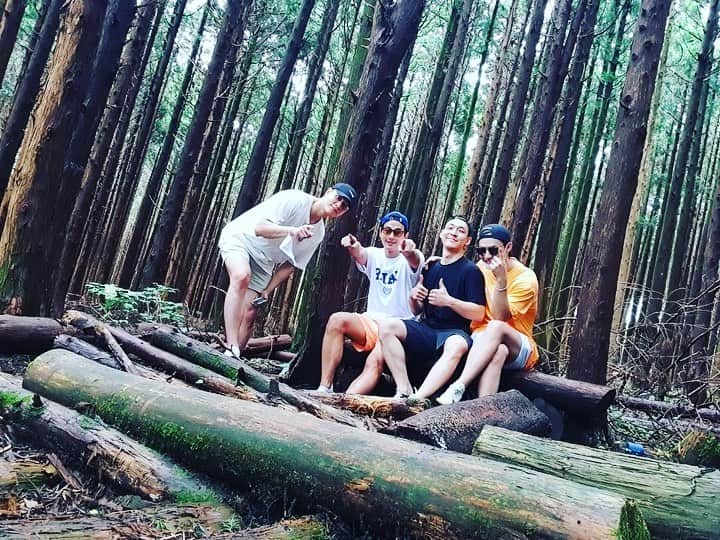のインスタグラム：「relax healing🌴」