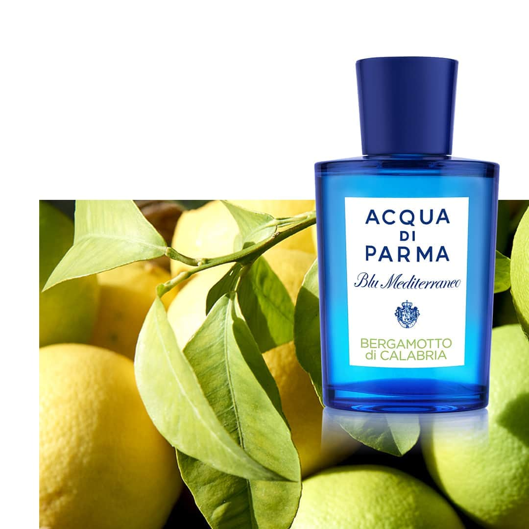 アクアディパルマさんのインスタグラム写真 - (アクアディパルマInstagram)「Bergamotto di Calabria: an enchanting Eau de Toilette celebrating the majestic Calabria and its golden Bergamot fruit.⁣ .⁣ .⁣ #acquadiparma #blumediterraneo #bergamottodicalabria #bergamotto #calabria #summer #italiansummer」8月10日 2時00分 - acquadiparma