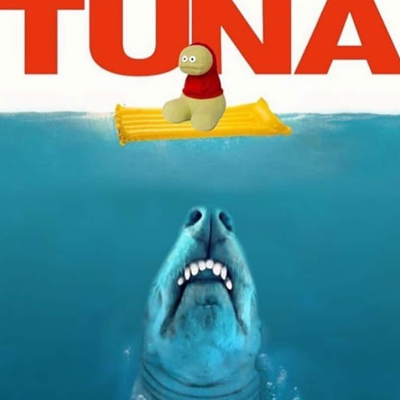 Tuna {breed:chiweenie} のインスタグラム