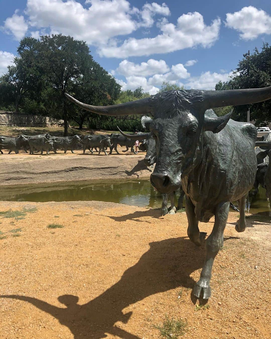 のインスタグラム：「🐂 Urban Barnyard 🐂  #shotoniphone」