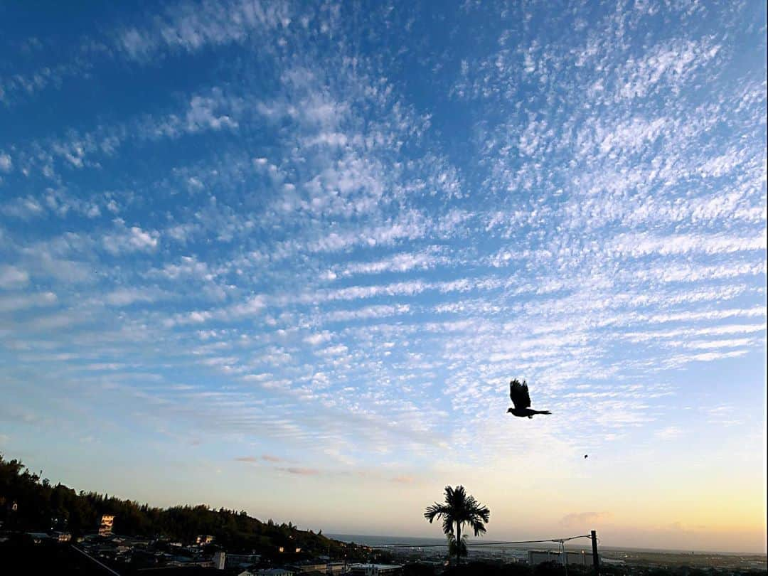 Honolulu Myohoji Missionさんのインスタグラム写真 - (Honolulu Myohoji MissionInstagram)「🕊 Today, August 9, 1945,  is a peace Memorial Day for #Nagasaki and August 6, 1945, for #Hiroshima 🎋  One atomic bomb killed 70,000 people in Nagasaki alone.  Honolulu Myohoji held memorial ceremony yesterday. It’s important for us to send messages every year, because many of young generations don’t know what happened in 75 years ago. 🙏 * * * * #ハワイ #ハワイ好きな人と繋がりたい  #ハワイだいすき #ハワイ好き #ハワイに恋して #ハワイ大好き #ハワイ生活 #ハワイ行きたい #ハワイ暮らし #オアフ島 #ホノルル妙法寺 #HawaiianAirlines #ハワイアン航空 #思い出　#honolulumyohoji #honolulumyohojimission #御朱印女子 #開運 #穴場 #パワースポット #hawaii #hawaiilife #hawaiian #luckywelivehawaii #hawaiiliving #hawaiistyle #hawaiivacation」8月10日 6時12分 - honolulumyohoji