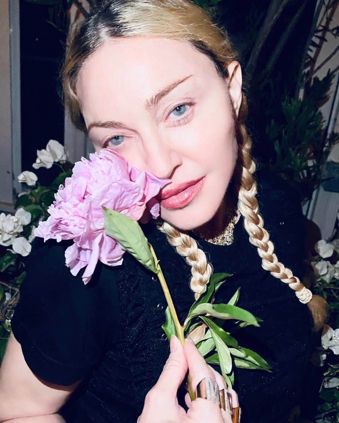 マドンナさんのインスタグラム写真 - (マドンナInstagram)「Starting Today...............everyday is my Birthday 🌸🌸🌸🌸🌸🌸🌸 #roses #jerrodblandino」8月10日 6時43分 - madonna