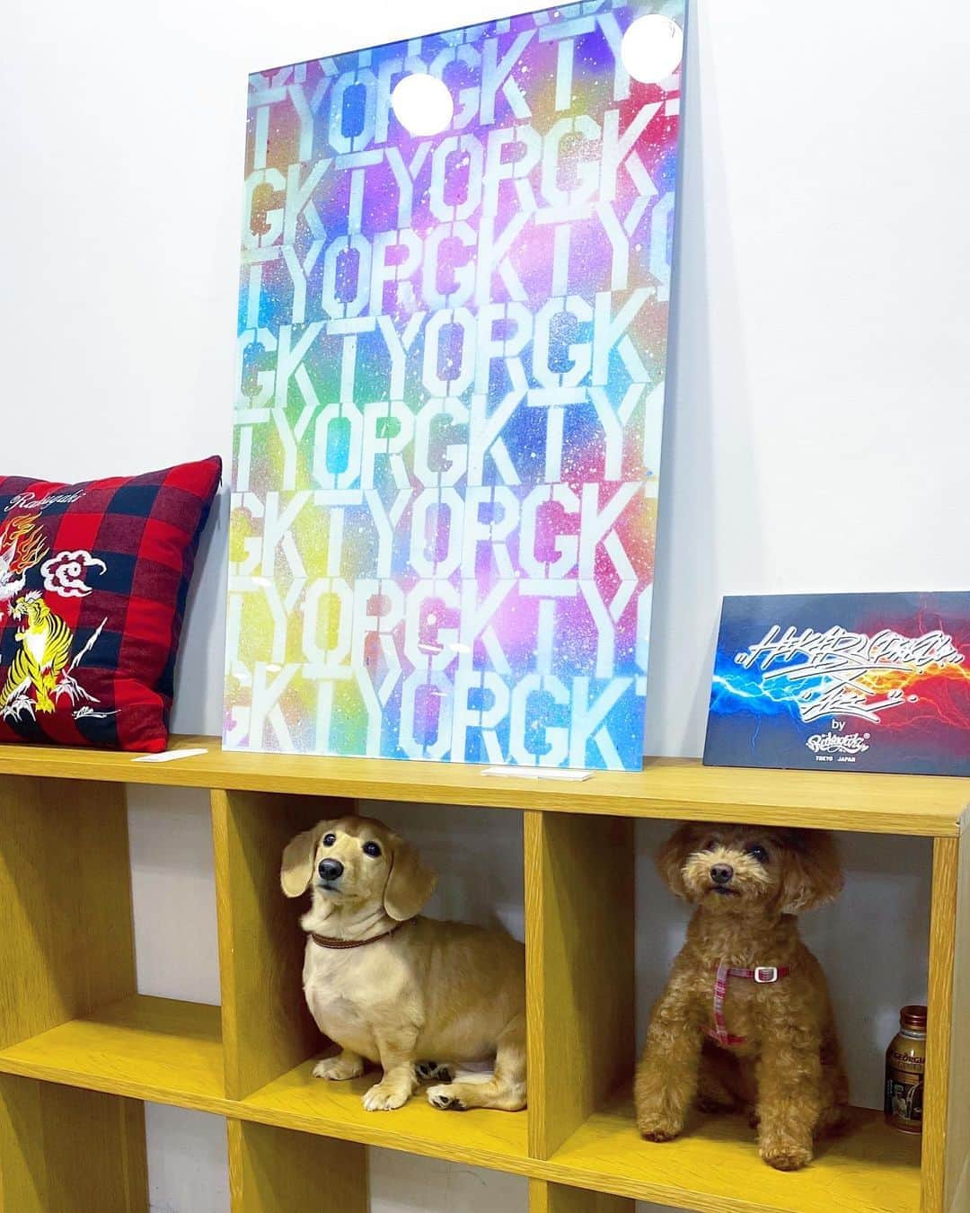 のインスタグラム：「#Rakugaki & #utility 2020 A/W EXHIBITIONへ✨✨ @azi_0308 @utilityharajuku ㅤㅤㅤㅤㅤㅤㅤㅤㅤ 併催： 「#早乙女光(#氣志團)×AZI Collaboration Exhibition」 「#LITTLE(#KICKTHECANCREW)×AZI Collaboration Exhibition」 ㅤㅤㅤㅤㅤㅤㅤㅤ ㅤㅤㅤㅤㅤㅤㅤㅤㅤ  💙utilityharajuku💙 東京都渋谷区神宮前3-24-1 鈴木ビル2F 12:00-20:00 www.utility-harajuku.jp ㅤㅤㅤㅤㅤㅤㅤㅤㅤ ㅤㅤㅤㅤㅤㅤㅤㅤㅤ ジャケットとロンTつけてきた😍💕 早く着たいなぁー💫 ㅤㅤㅤㅤㅤㅤㅤㅤㅤ ㅤㅤㅤㅤㅤㅤㅤㅤㅤ ㅤㅤㅤㅤㅤㅤㅤㅤㅤ ㅤㅤㅤㅤㅤㅤㅤㅤㅤ  ㅤㅤㅤㅤㅤㅤㅤㅤㅤ ㅤㅤㅤㅤㅤㅤㅤㅤㅤ ㅤㅤㅤㅤㅤㅤㅤㅤㅤ ㅤㅤㅤㅤㅤㅤㅤㅤㅤ  ㅤㅤㅤㅤㅤㅤㅤㅤㅤ #AZI #Rakugaki #楽描き #rakugaki_tokyo #rakugakitokyo #exhibition #popupshop #popupstore #JAPAN #EFFECTEN #utilityharajuku #uharajuku #ALLjapanmade #展示会 #原宿 #coordinate #ootd #도쿄 #패션스타그램 #데일리 #코디 #fashion #ファッション」
