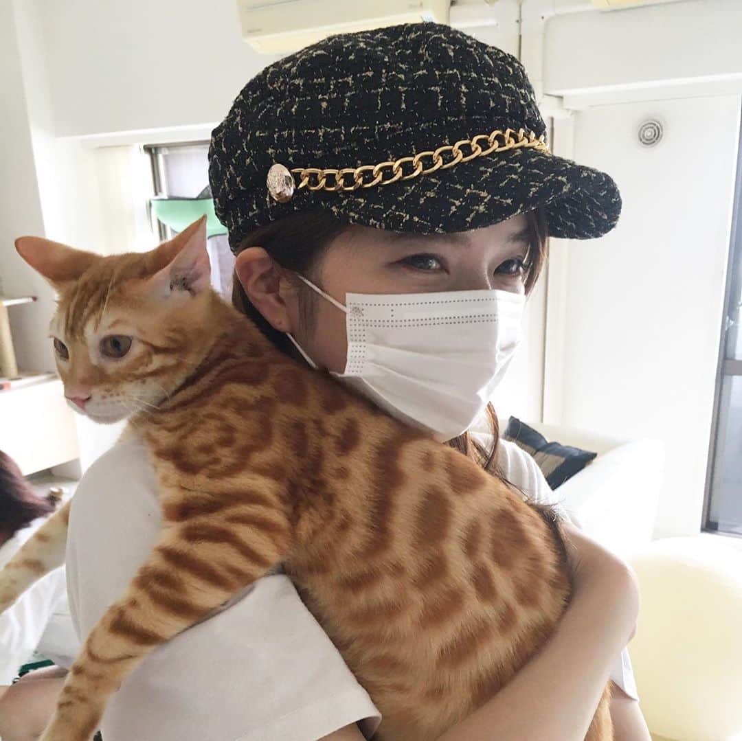 青山日和さんのインスタグラム写真 - (青山日和Instagram)「ㅤㅤㅤㅤㅤㅤㅤㅤㅤㅤㅤㅤㅤ ㅤㅤㅤㅤㅤㅤㅤㅤㅤㅤㅤㅤㅤ ガル蔵。 重くなったら、ずっと抱っこは厳しいぞ🐈 ㅤㅤㅤㅤㅤㅤㅤㅤㅤㅤㅤㅤㅤ #ベンガル#猫好き#猫のいる暮らし」8月10日 16時28分 - hiyo131131