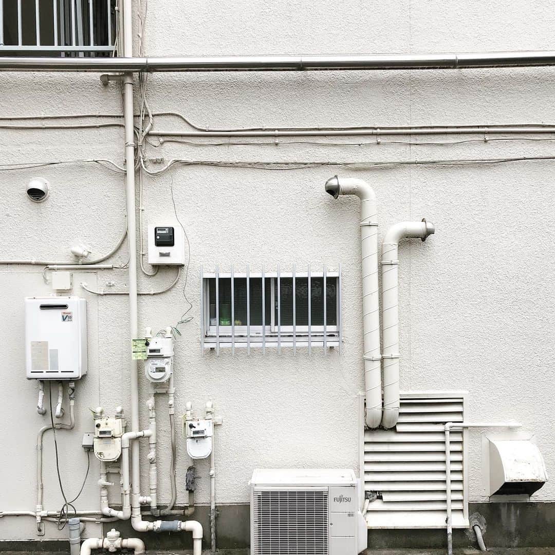 ザ壁のインスタグラム：「白鷺壁。 #ザ壁部」