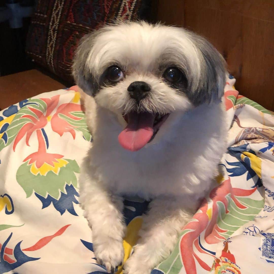 濱田マサルのグルメインスタ