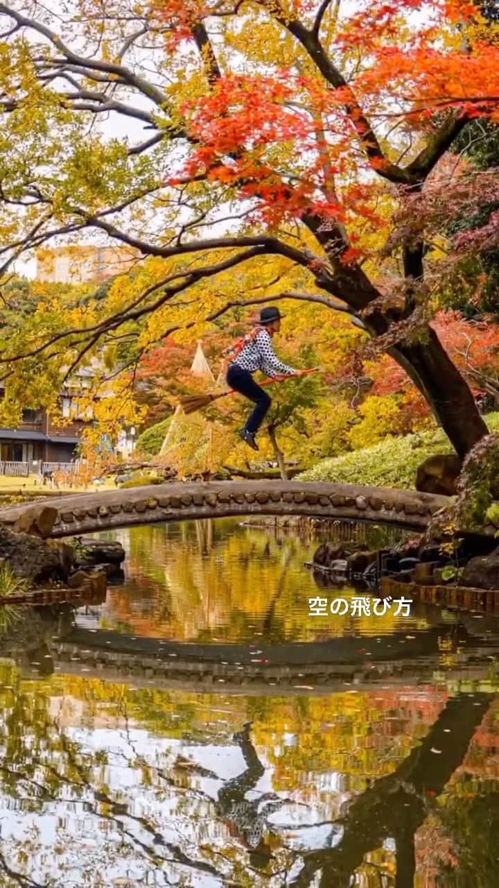 のインスタグラム：「空の飛び方」