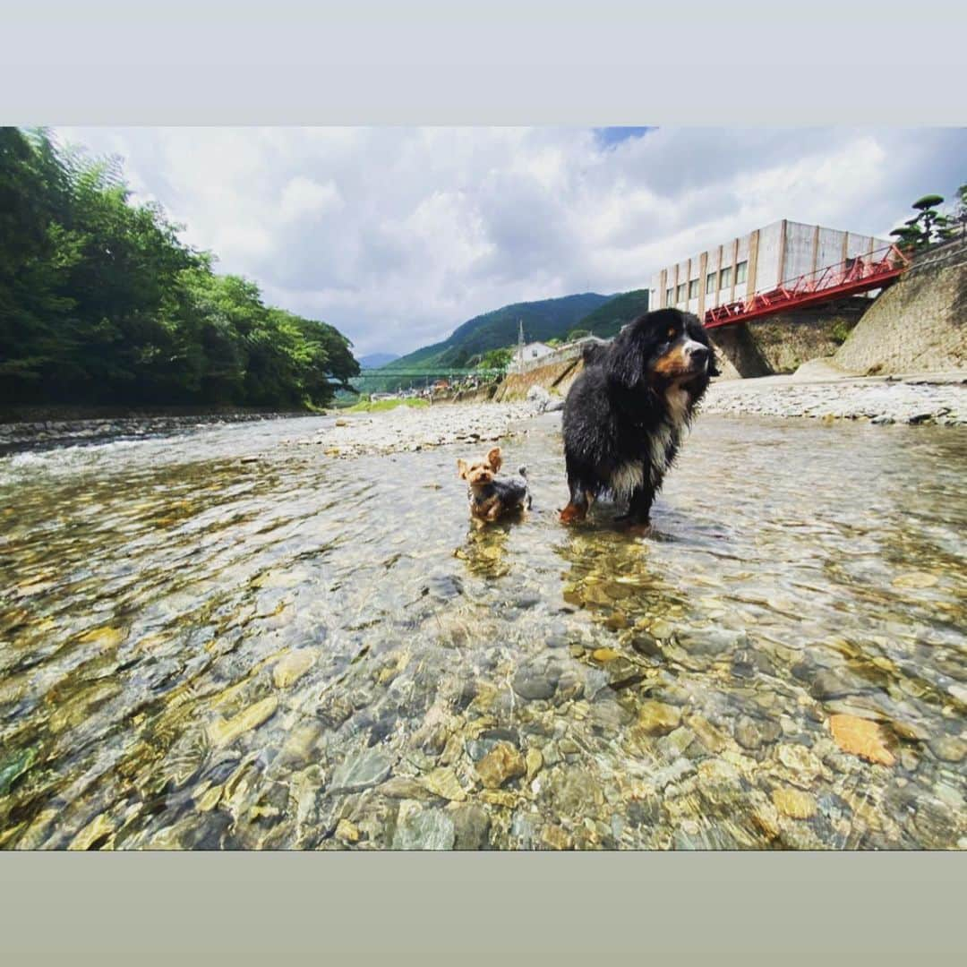 谷口大智さんのインスタグラム写真 - (谷口大智Instagram)「最高でした☀️🙌  #山口県錦町」8月10日 9時55分 - daichi0055