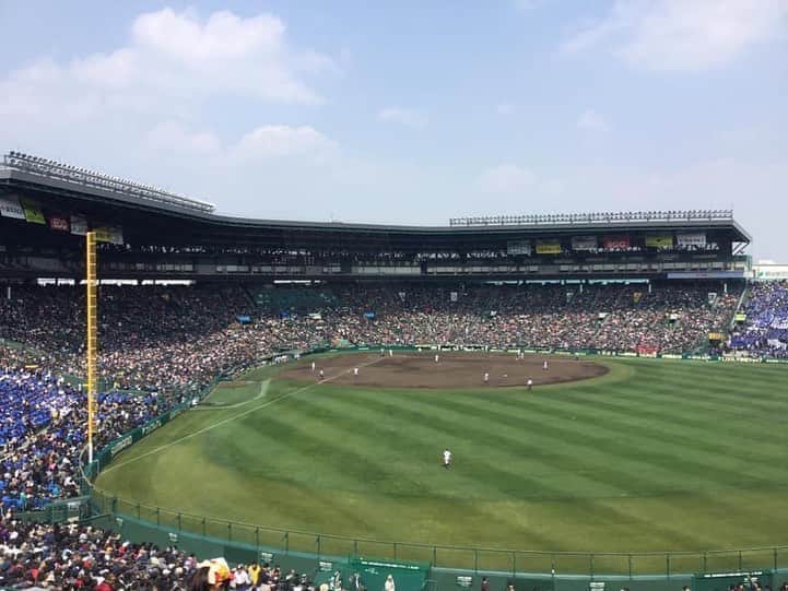 Nyankichi Noranekoさんのインスタグラム写真 - (Nyankichi NoranekoInstagram)「昨年の8月10日は甲子園で球児たちから感動をもらったにゃり⚾️ 今年は、新型コロナウイルスの影響で中止された今春センバツの出場32校を招く「2020年甲子園高校野球交流試合」が10日から開幕する。 各校1試合ずつ計16試合が行われる。  去年8月10日，我在甲子園觀看棒球比賽，從球員們得到感動喵。 本來今年春季舉行，邀請32所高中參加的「2020年高中棒球選拔賽(春季甲子園)」，因新型冠狀病毒的影響而被中止，終於8月10日揭幕了。 每一所學校有一場比賽，總共舉行16場比賽。  On August 10th last year, I watched a baseball game at Koshien, and I was impressed by the players meow.   This year, the "2020 National High School Baseball Invitational Tournament (Spring Koshien)", which was originally held in Spring, was suspended earlier due to the impact of the new coronavirus and is unveiled on August 10th.  Each school has one game, and a total of 16 games are held.  #猫 #고양이 #แมว #貓 #кошка #qata #chat #ニャンスタグラム #にゃんすたぐらむ #gato #喵星人 #ねこ部 #旅猫 #動物 #ねこのきもち #ニャン吉 #kawaii #保護猫 #イケニャン #japan #猫写真 #ねこ #mèo #kucing #ネコ #旅貓 #bar #甲子園 #高校野球 #bar #kucing #kucinglucu」8月10日 9時53分 - noraneko_nyankichi