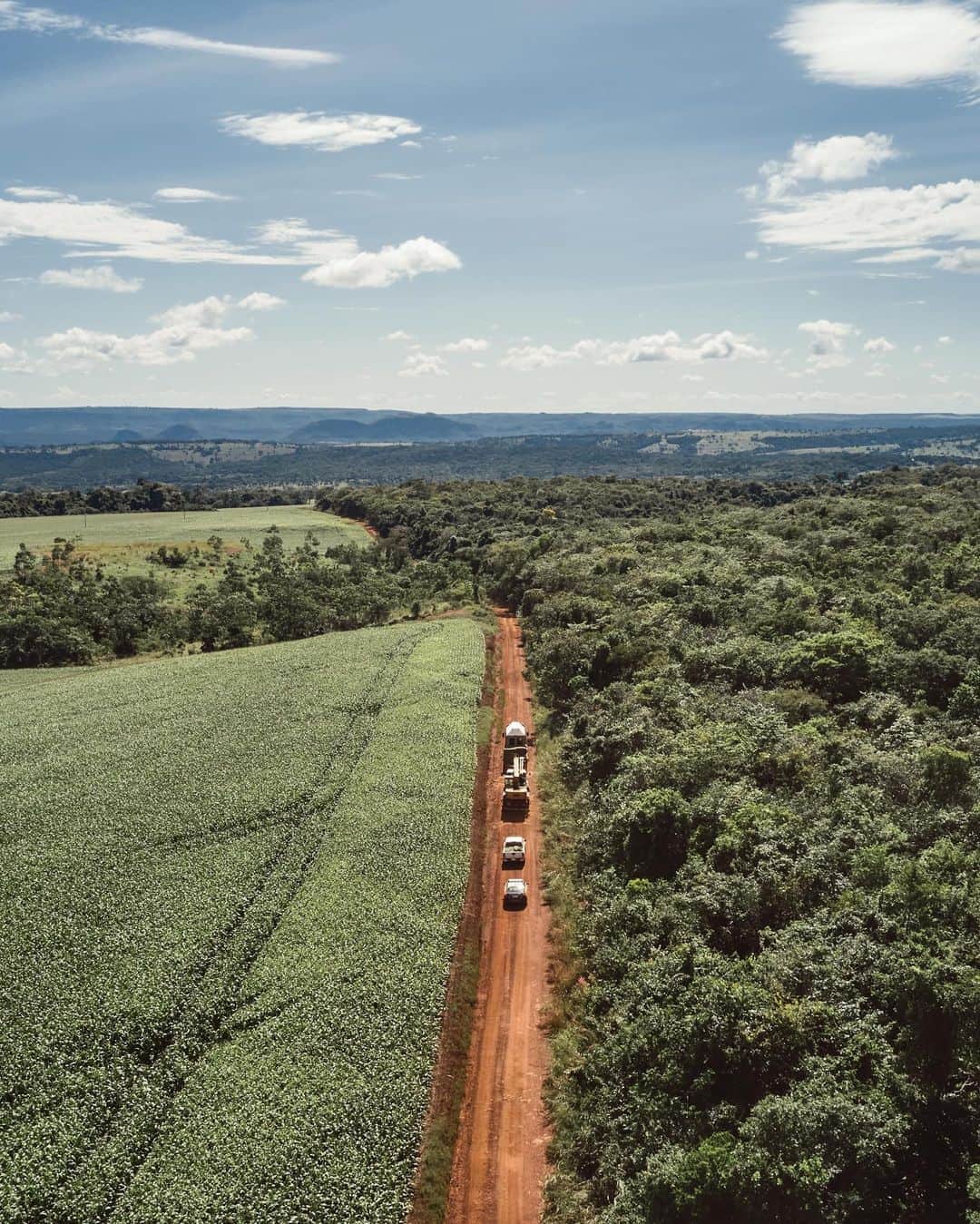 ニューヨーク・タイムズさんのインスタグラム写真 - (ニューヨーク・タイムズInstagram)「After decades in captivity and a 1,700-mile road trip from Argentina into Brazil, Mara finally has a chance to roam.⁣ ⁣ A 50-year-old Asian elephant, Mara spent the last two and a half decades of her life in a dusty enclosure at the Buenos Aires Zoo. It was once a centerpiece of the city’s grand Victorian parks. But for Mara, it was a difficult home: small, tense and crowded. There were two other elephants — African elephants — and they did not get along.⁣ ⁣ People began to protest the zoo, not just for Mara, but for all of the animals, some 2,500 of them as of 2016, squeezed onto just 42 acres. The city decided that the land should transition to an “ecopark,” where children could learn about conservation and native animals could be rehabilitated but would not be on display. ⁣ ⁣ And they decided to move Mara to Elephant Sanctuary Brazil, a 2,800-acre compound recently established in the state of Mato Grosso. But moving an elephant across international borders requires a lot of paperwork (to guard against the smuggling and laundering of animals, especially endangered species). And when the coronavirus pandemic took hold in early March, the month Mara was scheduled to move, Argentina imposed one of the strictest lockdowns in Latin America. But she made it safely through the border, arriving to open space, grass and trees.⁣ ⁣ “Everything was worth it when you see that animal that has spent most of her life in an unnatural way connecting with her essence and what she is,” said Tomás Sciolla of the Buenos Aires Zoo. “For her, it took a long time.⁣ ⁣ Tap the link in our bio to read more about Mara’s journey. Haz clic en el link de nuestra bio para leer la historia en español. Photos by @sofialopezmanan.」8月10日 10時04分 - nytimes