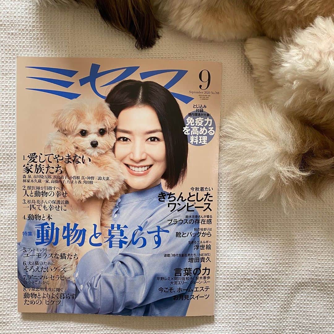 浜島直子さんのインスタグラム写真 - (浜島直子Instagram)「みなさんこんにちは🐶  このまえ ミセスの人たちが サボってないか  かくれてこっそり 団子🍡たべてないか  ベンツにのって 目をひからせてきました。  みんな わりと がんばっていました。  きょうも あついですが  みなさん ねっちゅうしょうには きをつけて ひるねしてください🐶✨ ・ #ミセス #ミセス9月号 #ピピちゃん #シーズー #元保護犬 @mrs._magazine ではピピちゃんがベンツに乗る動画が見られます🐶」8月10日 10時05分 - hamaji_0912