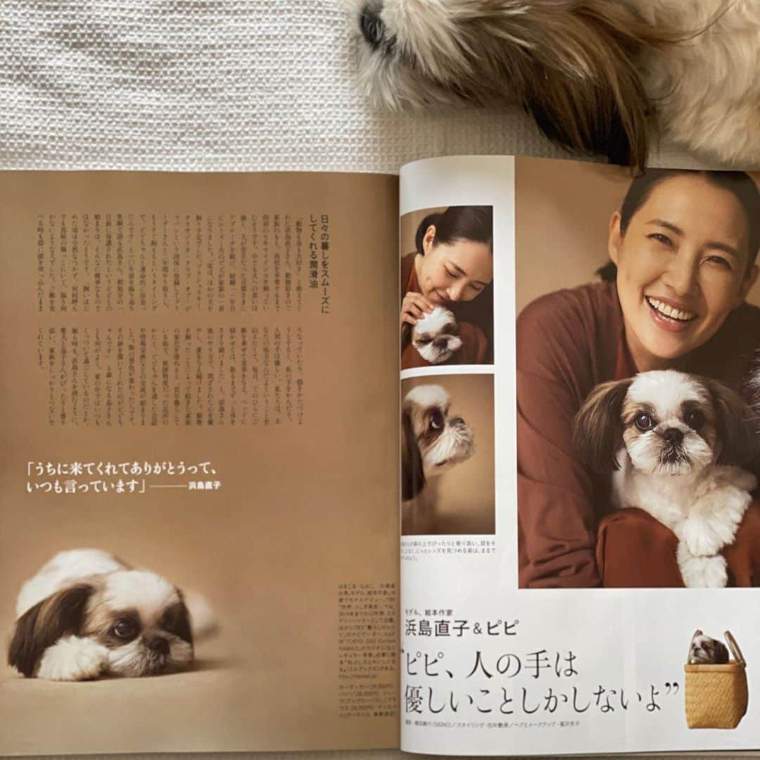 浜島直子さんのインスタグラム写真 - (浜島直子Instagram)「みなさんこんにちは🐶  このまえ ミセスの人たちが サボってないか  かくれてこっそり 団子🍡たべてないか  ベンツにのって 目をひからせてきました。  みんな わりと がんばっていました。  きょうも あついですが  みなさん ねっちゅうしょうには きをつけて ひるねしてください🐶✨ ・ #ミセス #ミセス9月号 #ピピちゃん #シーズー #元保護犬 @mrs._magazine ではピピちゃんがベンツに乗る動画が見られます🐶」8月10日 10時05分 - hamaji_0912