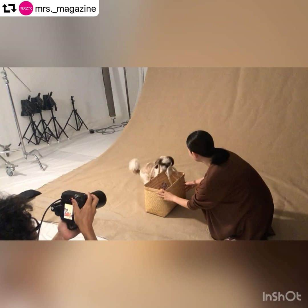 浜島直子さんのインスタグラム写真 - (浜島直子Instagram)「みなさんこんにちは🐶  このまえ ミセスの人たちが サボってないか  かくれてこっそり 団子🍡たべてないか  ベンツにのって 目をひからせてきました。  みんな わりと がんばっていました。  きょうも あついですが  みなさん ねっちゅうしょうには きをつけて ひるねしてください🐶✨ ・ #ミセス #ミセス9月号 #ピピちゃん #シーズー #元保護犬 @mrs._magazine ではピピちゃんがベンツに乗る動画が見られます🐶」8月10日 10時05分 - hamaji_0912