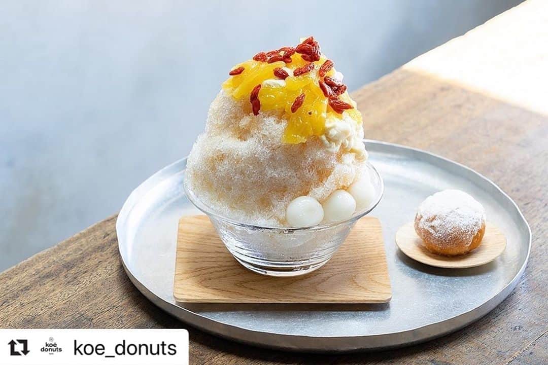 コエのグルメインスタ