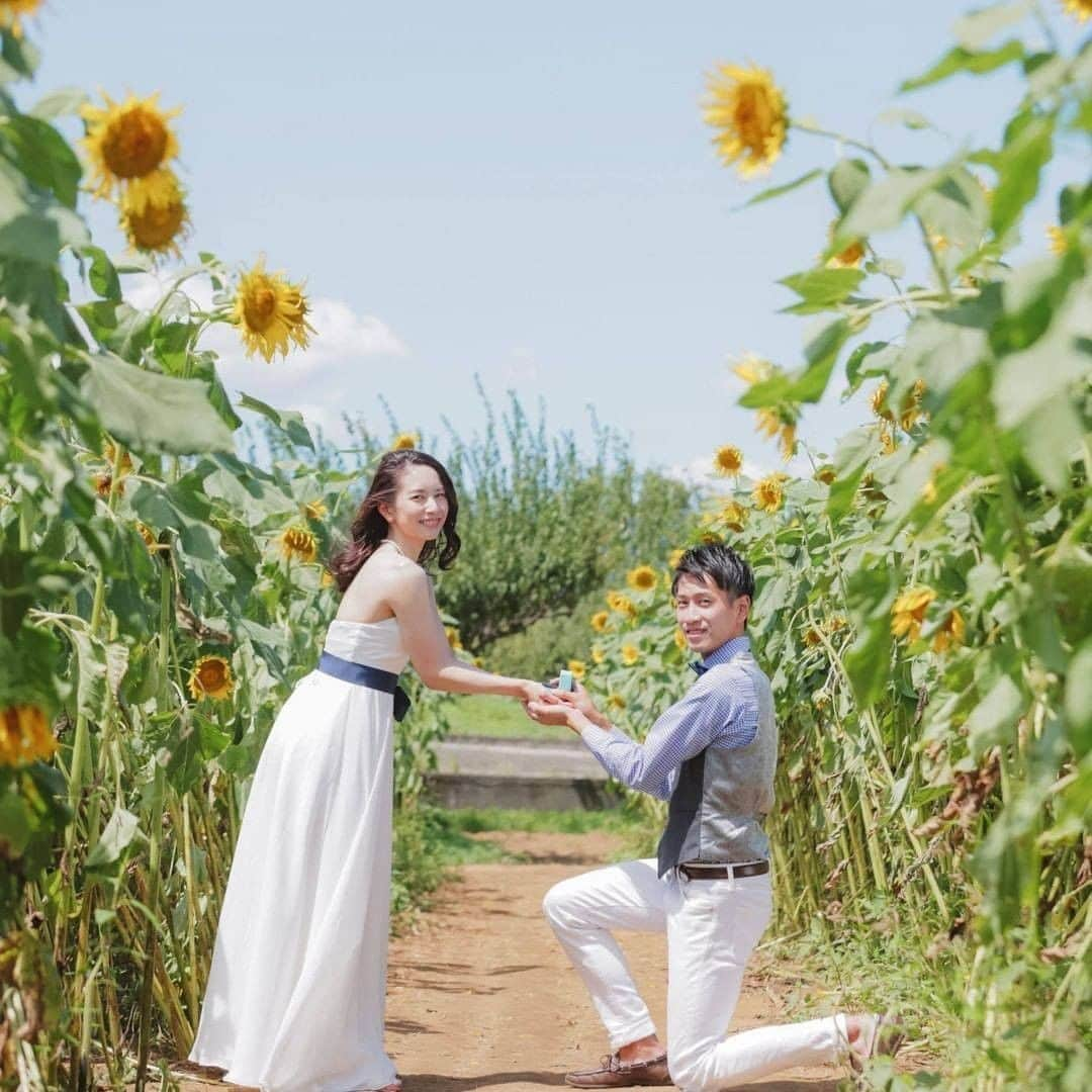 ♡プラコレWedding·⋆*さんのインスタグラム写真 - (♡プラコレWedding·⋆*Instagram)「@placolewedding 【#Dressy花嫁 】【#プラコレ】をつけて投稿&フォローしてね♩ ＝＝＝＝＝＝＝＝ . ひまわり×ウェディング🌻  夏のお花と言えば"ひまわり" 満開に咲き誇るひまわり畑や、 ひまわりをテーマにした結婚式を ご紹介いたします✨  撮影場所と合わせて ぜひcheckしてくださいね🧡✨  >>Dressy記事もcheck📷 https://bit.ly/3i8J3jh ＝＝＝＝＝＝＝＝ photo by … 1枚目>@s.mochizuki_studio8さん #観光農園花ひろば 2枚目>@studioaqua.fujiさん #明野ひまわり畑 3枚目>@laviefactoryさん #座間ひまわり畑 4枚目>@arkclubgeihinkanhiroshimaさん #アーククラブ迎賓館 広島 ＝＝＝＝＝＝＝＝ 『#Dressy花嫁』『#プラコレ』の ハッシュタグをつけて写真をUPしてね✦ 花嫁アプリ『Dressy by プラコレ』の 記事に掲載＆リグラムされるかも♩ . みなさまからのいいねや保存 コメントをお待ちしています♥ 「このウェディングドレス可愛い！」 「ヘアスタイルも気になる！！」 「今の花嫁さんの流行りは！？」etc. . ＝＝＝＝＝＝＝＝ 花嫁アプリでは、 プロのアドバイザーに結婚式の相談を何度でも♡ ウェディングドレスの記事や、 自分のウェディングレポを残せちゃう♡” . ＞＞＞TOPのURLからcheck ⋈ @placolewedding ＞＞＞結婚のご相談は プラコレウェディングアドバイザーへ♡ @wedding_adviser ＞＞＞ウェディングレポを残したいなら、 farny by プラコレをcheck ✎ @farny_wedding ＞＞＞ウェディングアイデア＆DIYは ドレシーアイデアcheck ❁ @dressy_idea >>>素敵なドレスに出会いたい花嫁さま♡ @dressyonline_をcheck . ＝＝＝＝＝＝＝＝ . #プレ花嫁 #卒花 #花嫁 #卒花嫁 #結婚 #結婚式 #結婚準備 #花嫁準備 #weddingtbt　 #運命の一着 #試着レポ #farnyレポ #2020夏婚 #2020秋婚 #2020冬婚 #ひまわり畑 #ひまわり #ひまわりウェディング #ロケーションフォト #撮影指示書 #ウェディングフォト」8月10日 10時17分 - placole_dressy