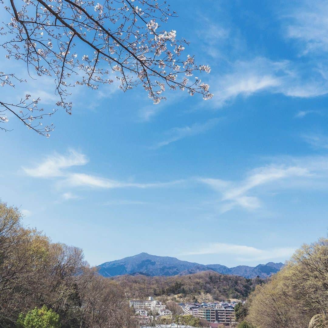 アマンダンヒルズのグルメインスタ