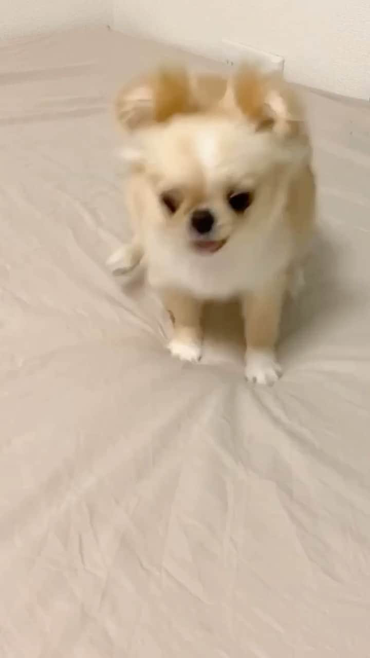 下平夏奈のインスタグラム