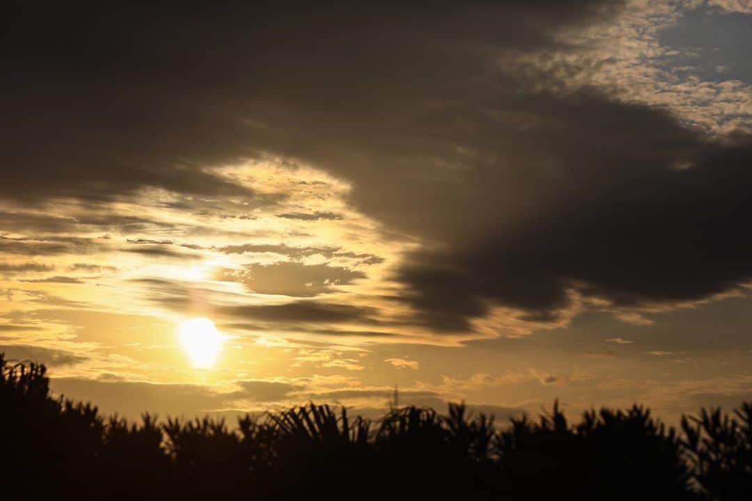 17人をフォロー中 【結婚式場】ラヴィマーナ神戸ウエディングのグルメインスタ