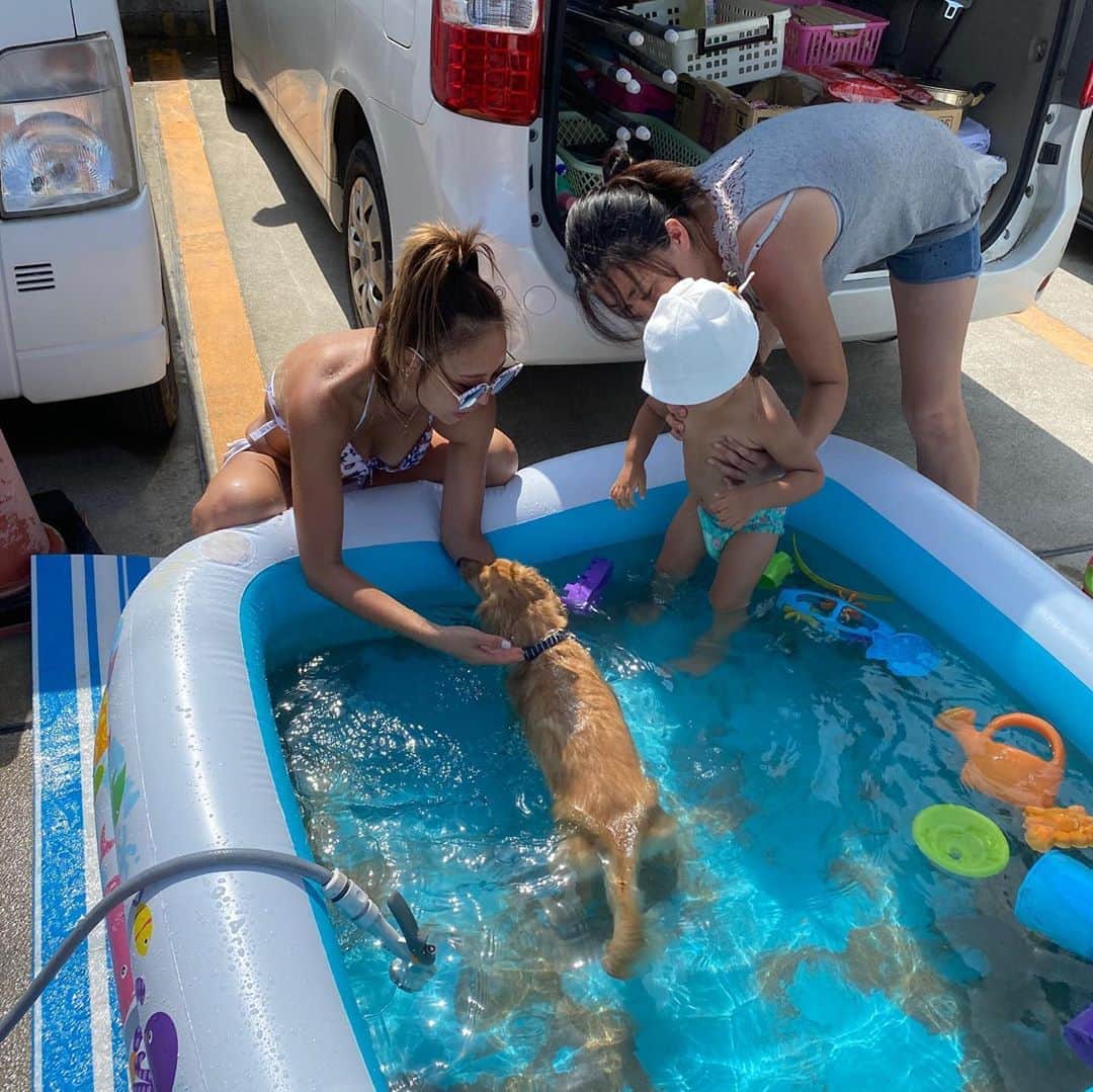 MomoseRyoko さんのインスタグラム写真 - (MomoseRyoko Instagram)「#犬プール  #犬プール遊び」8月10日 11時35分 - ryokomomose