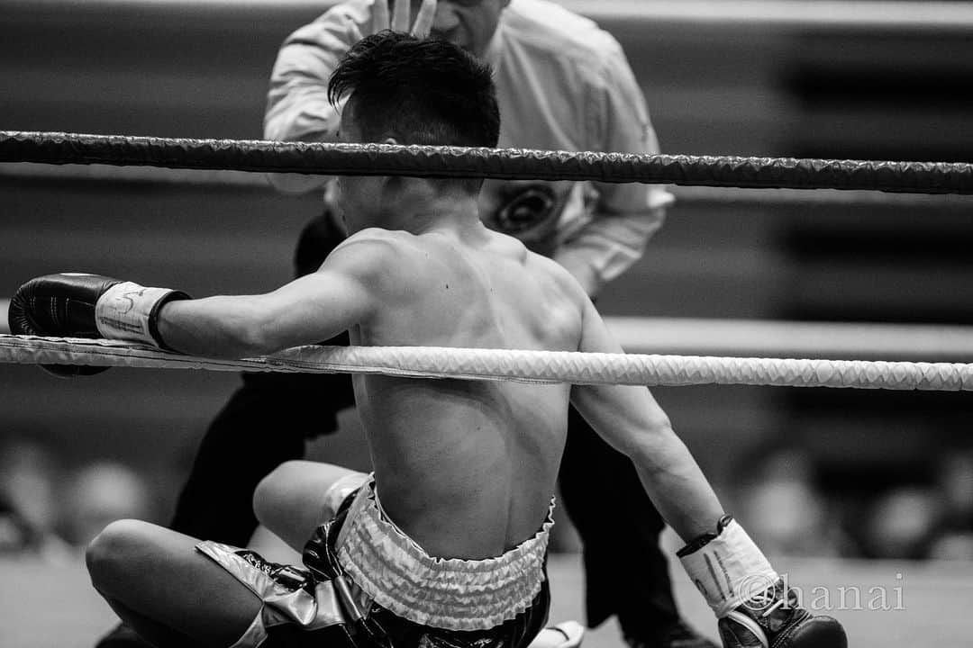 Yasunari Hanaiのインスタグラム：「ボクシング ダウン  #刈谷 #ボクシング #モノクロ #スポーツ写真 #スポーツ  #canon  #canon_photos #sportsphotographer  #sports  #1dxmark2  #タクミスポーツフォト #takumisportsphoto」