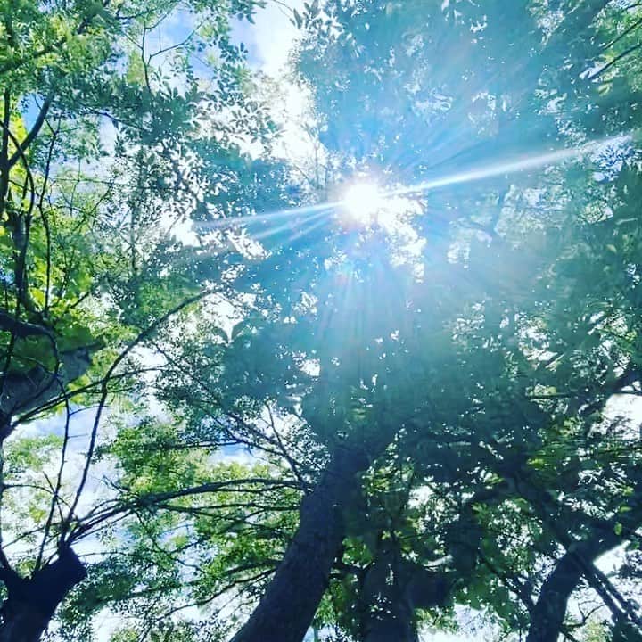 Hiroe Hiranoのインスタグラム