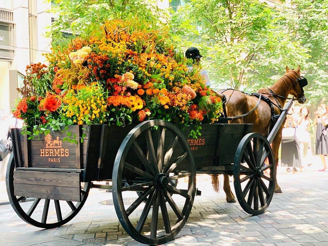 椎木俊介のインスタグラム：「Flower installation for HERMES Marunouchi renewal open   #amkk #amkkproject #makotoazuma #azumamakoto #東信花樹研究所 #東信 #jardinsdesfleurs #shiinokishunsuke #flowerart #flower #flowers #hermes #エルメス #エルメス丸の内 #エルメス丸の内店リニューアルopen」