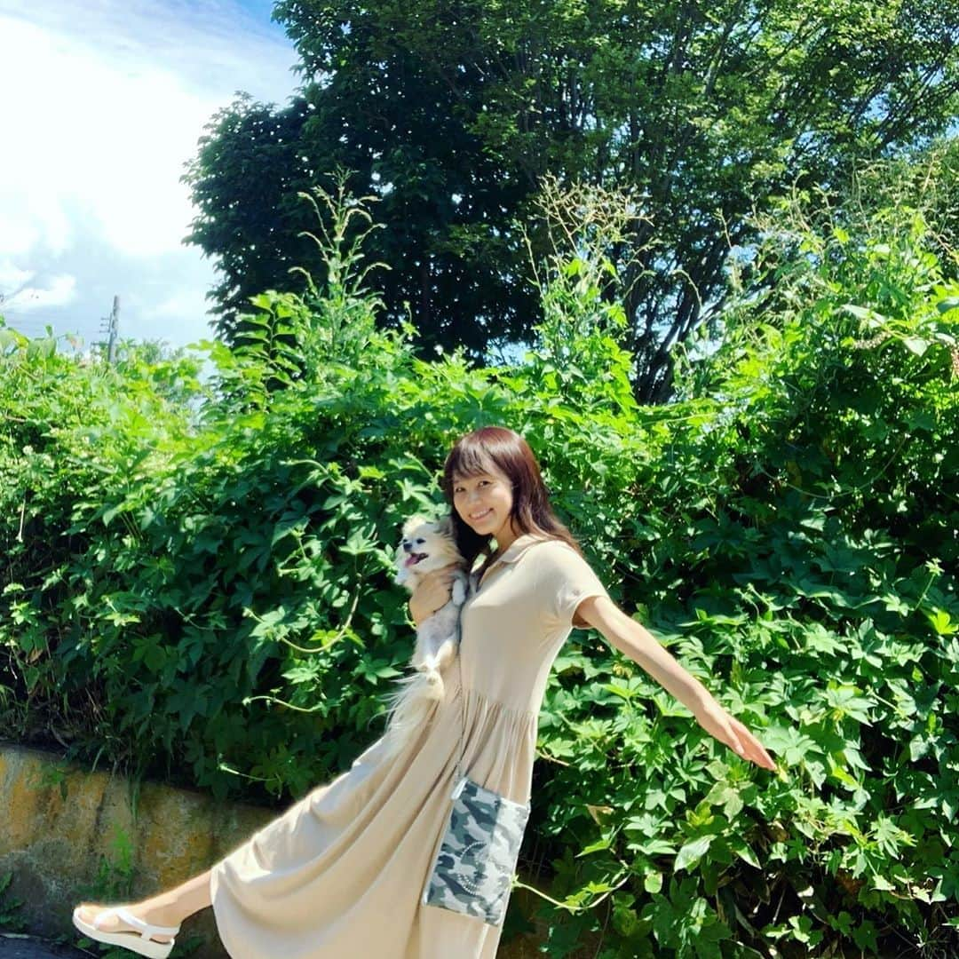 野村日香理さんのインスタグラム写真 - (野村日香理Instagram)「#iPhoneカメラ シリーズ♪ 夏ーー♡ 近所をお散歩しながら読書できる秘密の場所を探し中だよ〜🦮 ちょびとお出かけの時はショルダーが楽ちん⭐︎よーくみるとにこちゃんbagなの☺︎☺︎ 書店で購入した#いのちはのちのいのちへ は心が落ち着く本なのでゆっくり気持ちの良い場所で読みたいな(´◡`) 📙 bagは @salondealfurd です💼  #連休#夏#サロンドアルファード#ニコちゃんバッグ#軽いバッグ#スマイル#カモフラ#ショルダーバッグ#イタリアンレザー#命#summer#SALONDEALFURD#pr#bag#hikarinコーデ」8月10日 12時59分 - nomura.hikari