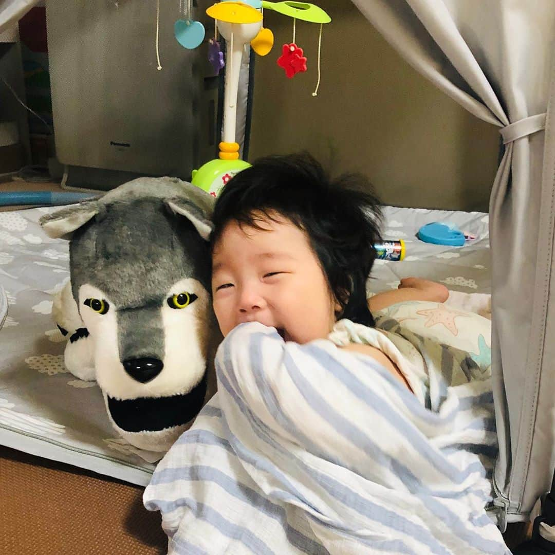 幹てつやさんのインスタグラム写真 - (幹てつやInstagram)「我が家の守護犬。娘ちゃんと仲良し❤️ ＊ ＊ #娘ちゃん #守護神 #守護犬 #仲良し #6カ月ベビー #赤ちゃんのいる暮らし #シャクレルプラネット #幹てつや #子育てパパ日記」8月10日 16時04分 - mikitetsuya