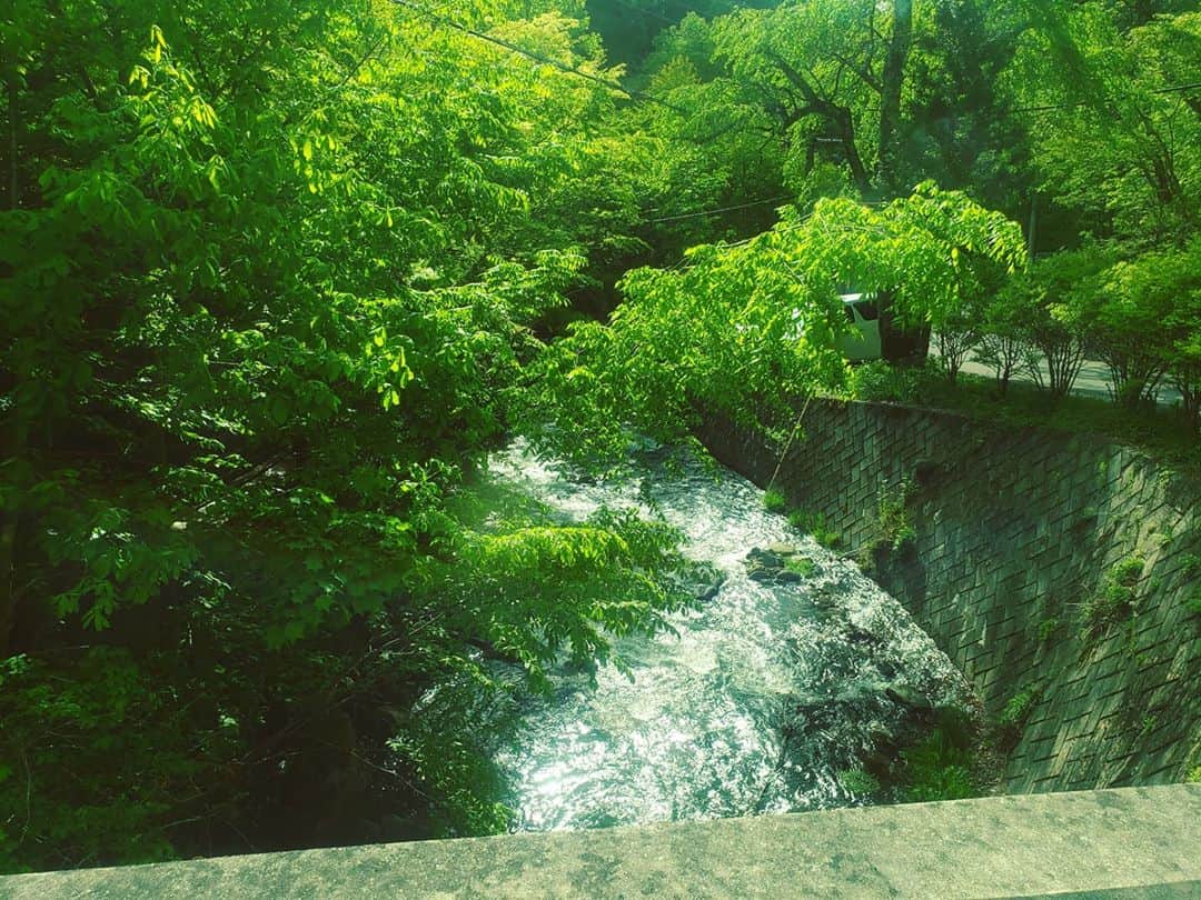 Shihoさんのインスタグラム写真 - (ShihoInstagram)「ああ自然の中にお出かけしたいなあー。 と、思うだけにしている。  #nature #woods #tree #river #water #summervacation #夏休み #自然が好き #おでかけしたい #singerslife」8月11日 1時55分 - fried_pride_shiho