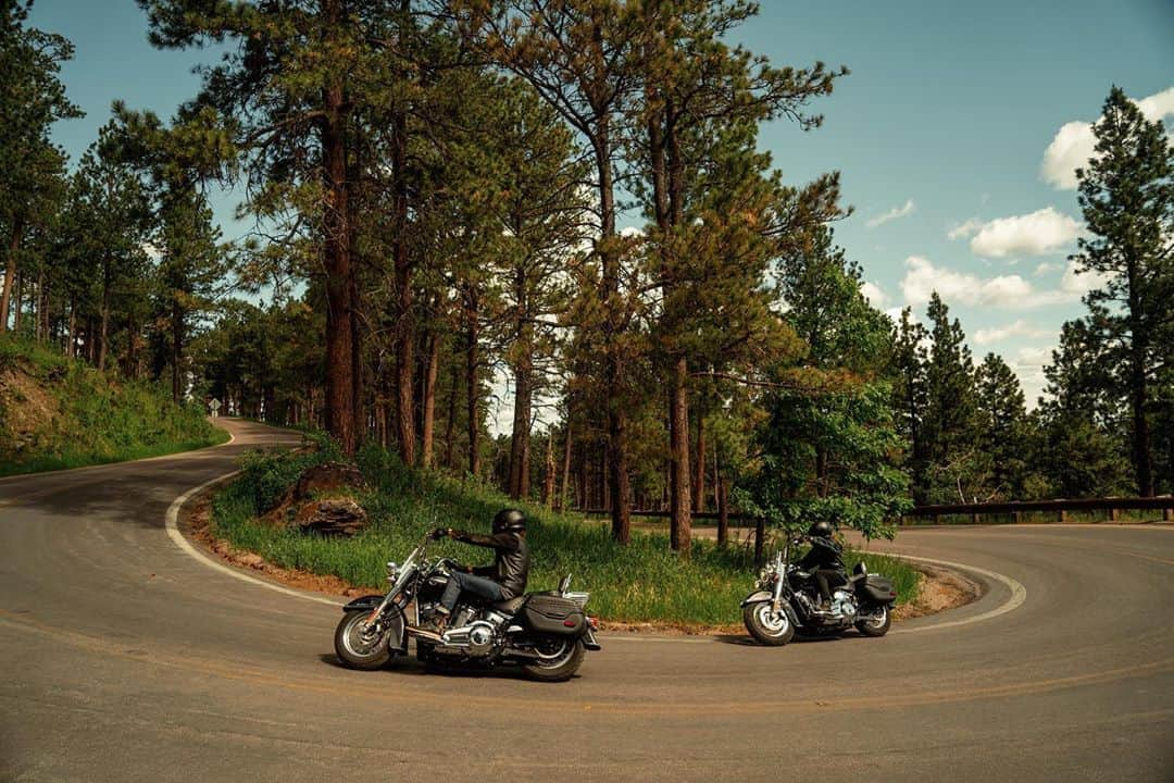 Harley-Davidsonさんのインスタグラム写真 - (Harley-DavidsonInstagram)「Black Hills switchbacks.   Download the H-D App for ride challenges, epic routes and more. Link in bio. #LetsRide #HarleyDavidson」8月11日 1時49分 - harleydavidson