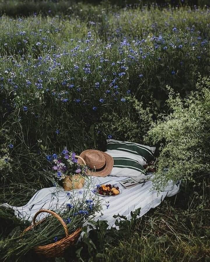 マーカスルプファーさんのインスタグラム写真 - (マーカスルプファーInstagram)「This makes me really happy. The perfect picnic spot #LoveMarkus  #MarkusLupfer #feelgood #makesmehappy #inspo  Photo via @__s____o」8月11日 2時39分 - markuslupfer