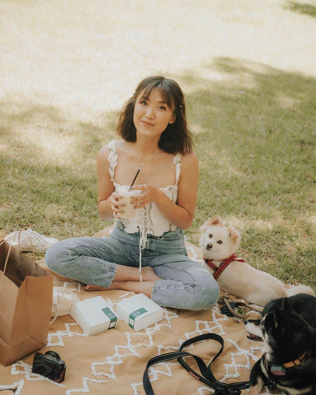 W E Y L I Eのインスタグラム：「The pups and I wish you a happy week ☀️   I’ve been watching some reels on IG lately and I’m so bummed I don’t have the music feature to make reels! I’ve never had the music feature on IG. I don’t know why! 🙇🏻‍♀️」