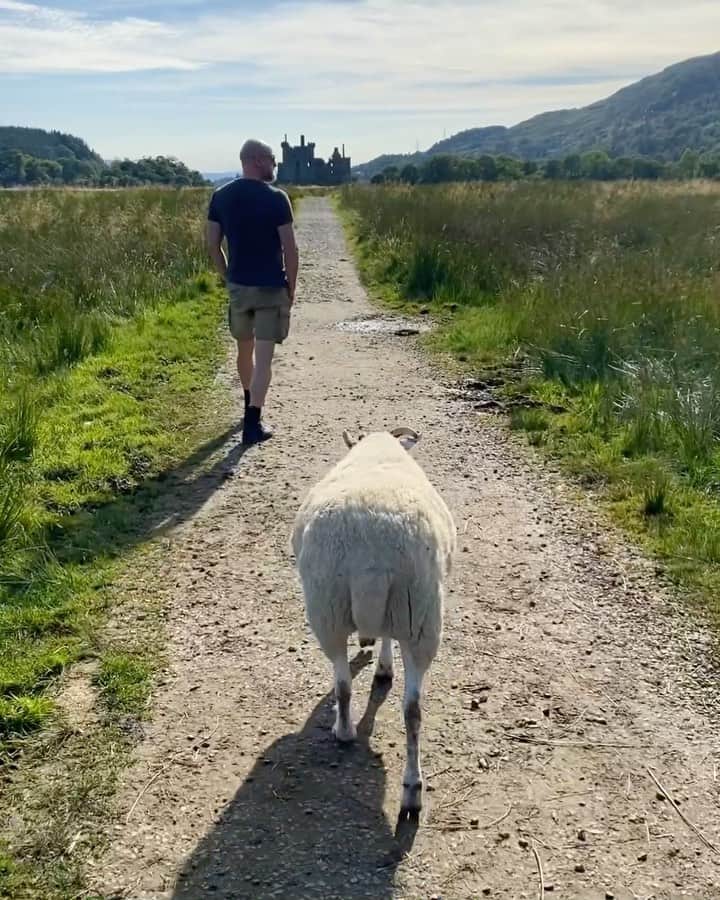 ギャランス・ドレのインスタグラム：「Just us peacefully walking our sheep to the castle.」