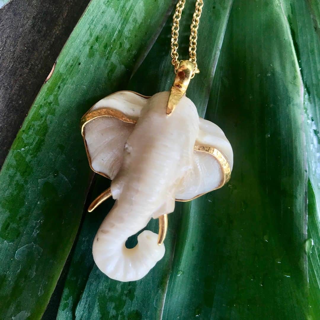 ベックスロックスのインスタグラム：「#Jewelsforlife⠀⠀⠀⠀⠀⠀⠀⠀⠀ ⠀⠀⠀⠀⠀⠀⠀⠀⠀ Back in stock.  The GAJAH hand carved “tagua nut” elephant pendant.  Replacing ivory with “vegetable ivory” as a sustainable solution to combat the Ivory trade.  Hand carved by our artisans in Bali preserving craft with 11% going to support communities in need. ⠀⠀⠀⠀⠀⠀⠀⠀⠀ ⠀⠀⠀⠀⠀⠀⠀⠀⠀ For more info contact thestudio@bexrox.com or DM ⠀⠀⠀⠀⠀⠀⠀⠀⠀ Worldwide free shipping packaged in a hand made rattan box. ⠀⠀⠀⠀⠀⠀⠀⠀⠀ ⠀⠀⠀⠀⠀⠀⠀⠀⠀ #roxonajourney⠀⠀⠀⠀⠀⠀⠀⠀⠀ #sustainableluxury⠀⠀⠀⠀⠀⠀⠀⠀⠀ #jewelswithsoul ⠀⠀⠀⠀⠀⠀⠀⠀⠀ #artisamade ⠀⠀⠀⠀⠀⠀⠀⠀⠀ #taguanut #jewelry  #elephantjewelry  #consciousjewelry #worldelephantday」